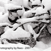 Snowbicycle-post_card