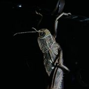 Img_3939_card