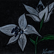 Two_flowers_2_card