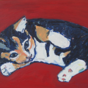 Project224_card