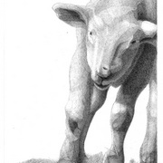 Artbreak-lamb_card