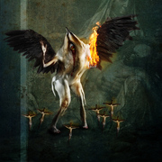 Seven_card