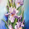 Who_loves_irises_thumb