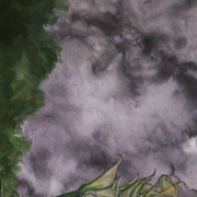 100_8566_card
