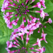 101_2656_card