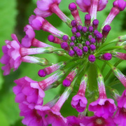 101_2660_card