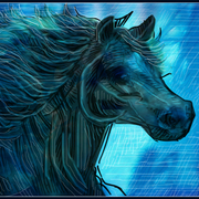 Wild_horse_card