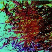 15336_100832156611453_100000540075417_22095_4932628_n_card