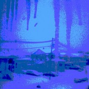 333042755205_0_0_card