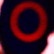 333053580421_0_0_card
