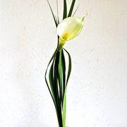 _mg_1656_card