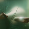 Ne0dq27579zeabw4_thumb