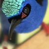 Red_doted_blue_bird_thumb