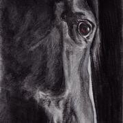 Blackhorse_card