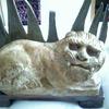 Lion_thumb