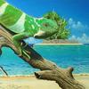 Iguana_at_a_beach_thumb