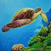 Turtle_underwater-2_card
