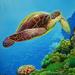 Turtle_underwater-2_square