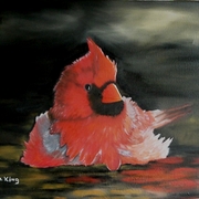 Morningbathcardinal2_card