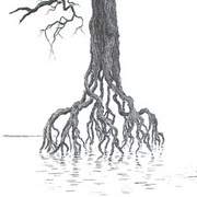 Roots_tree_400_card