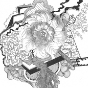Tran_fl_card