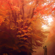 Autumn_lane_card