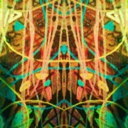333043998597_0_0_card