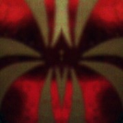 333053047429_0_0_card