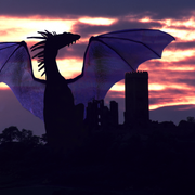 Picture_1_card