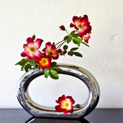 Ikebana-199_card