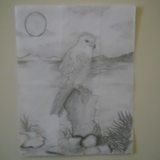 Dscn0342_card