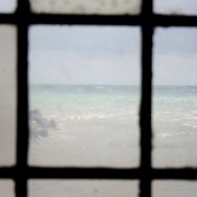 Window_card