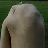 10knee_limetree_thumb