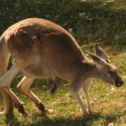 Img_6844_card