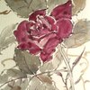 2010052014210000_thumb