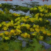 Marsh_marigolds_card