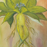 333_038_card