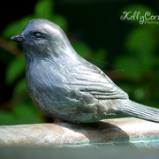 101_5401f_card