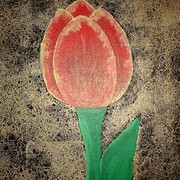 Tulip_card