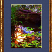 Afternoon_light_framed_card