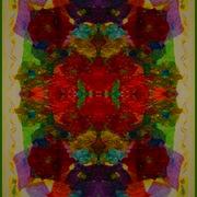 Img_4240_special_effects-_mirror-garden_of_our_lives_card