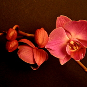 Dsc06414_card