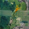 Lysberar_2_50x58_thumb
