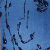 Sara_thumb