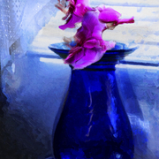 Sunday_morning_moods_card