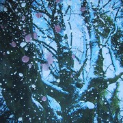 P001_card