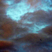 Imgp3248_card