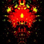 333053240837_0_0_card