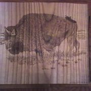 Wild_buffalo_1_card