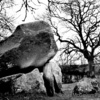 Goward_dolmen_with_watermark_thumb